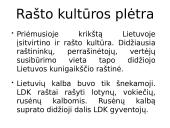 Kultūros ir ūkio pokyčiai priėmus krikščionybę 7 puslapis