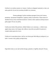 Kuo ypatingas A. Mickevičiaus "Gražinos" paveikslas? 2 puslapis