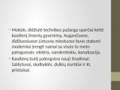 Kasdienis gyvenimas tarpukario Lietuvoje 2 puslapis