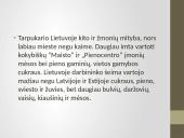 Kasdienis gyvenimas tarpukario Lietuvoje 5 puslapis