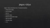 Jėga bei jėgos rūšys 6 puslapis
