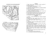Geomorfologijos tyrimai 13 puslapis