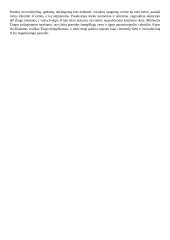 J. Savickio kūrinių analizės ir kontekstai 4 puslapis