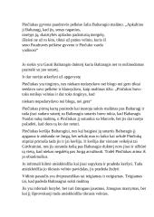 "Baltaragio malūnas" - veikėjų charakteristikos 2 puslapis