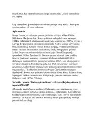 "Baltaragio malūnas" - veikėjų charakteristikos 7 puslapis