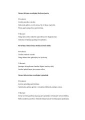 Apdaila naudojant dažymo juostą 2 puslapis