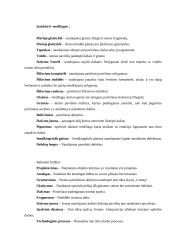 Apdaila naudojant dažymo juostą 3 puslapis