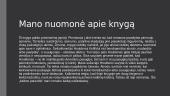 Kūrinio "Rugiuose prie bedugnės" apžvalga 7 puslapis