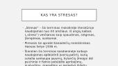 Streso priežasčių ir su jais susijusios problemos sprendimas 2 puslapis