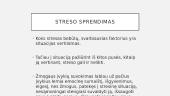 Streso priežasčių ir su jais susijusios problemos sprendimas 4 puslapis