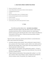 Baltijos juros užterštumas bei taršos mažinimo būdai 4 puslapis