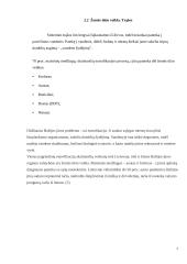 Baltijos juros užterštumas bei taršos mažinimo būdai 6 puslapis