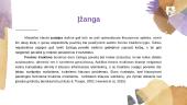 Straipsnio “Functional hearing in the classroom: assistive listening devices for students with hearing impairment in a mainstream school setting” analizė  3 puslapis