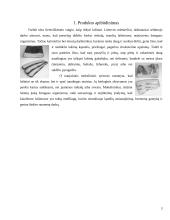 Kainų stebėjimo fiksavimas ir analizavimas 2 puslapis