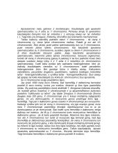 Chromosomos sandara. Autosomos ir lytinės chromosomos. Lyties apsprendimas. Su X chromosoma susijusios paveldimos ligos 2 puslapis