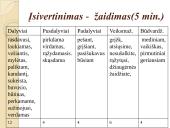 Padalyviai ir pusdalyviai 13 puslapis