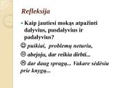 Padalyviai ir pusdalyviai 17 puslapis