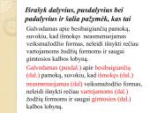 Padalyviai ir pusdalyviai 18 puslapis