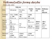 Padalyviai ir pusdalyviai 5 puslapis