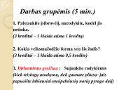 Padalyviai ir pusdalyviai 6 puslapis