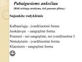 Padalyviai ir pusdalyviai 9 puslapis