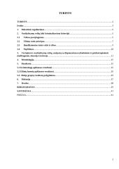 Nedidelio kiekio narkotinių ir psichotropinių medžiagų dekriminalizavimo perspektyvos Lietuvoje 2 puslapis
