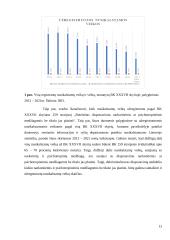 Nedidelio kiekio narkotinių ir psichotropinių medžiagų dekriminalizavimo perspektyvos Lietuvoje 13 puslapis