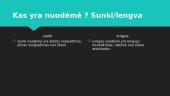 Katechezės atsiskaitymas 19 puslapis