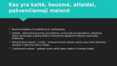Katechezės atsiskaitymas 20 puslapis