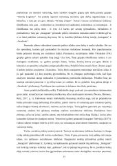 Profesinės praktikos ataskaita "Girteka" 12 puslapis