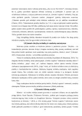 Profesinės praktikos ataskaita "Girteka" 13 puslapis