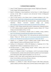 Profesinės praktikos ataskaita "Girteka" 17 puslapis