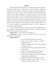 Profesinės praktikos ataskaita "Girteka" 2 puslapis