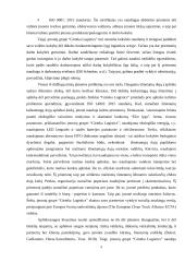 Profesinės praktikos ataskaita "Girteka" 8 puslapis