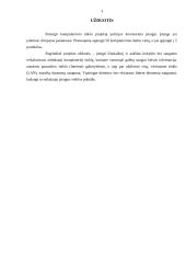 Kompiuterinio tinklo projektas 2 puslapis