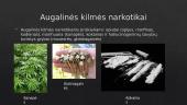 Nelegalių ir medicininių narkotikų platinimas ir vartojimas 3 puslapis