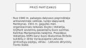 Vytautas Vitalius Gavėnas 3 puslapis