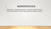 Susipažinimas su ﻿Lietuvos Respublikos konstitucija 3 puslapis