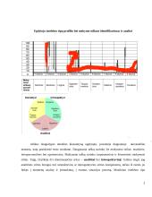 Intelekto tipų profilio įvertinimas ir atitinkamų užduočių, mokymo(si) metodų modeliavimas 2 puslapis