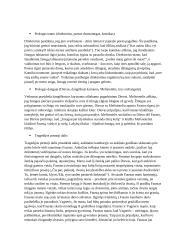 Gėtės "Fausto" analizė 2 puslapis