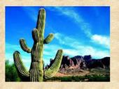 Centrinės Amerikos civilizacijos ir jų kultūrinis paveldas 13 puslapis