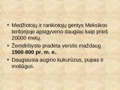 Centrinės Amerikos civilizacijos ir jų kultūrinis paveldas 18 puslapis