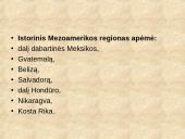 Centrinės Amerikos civilizacijos ir jų kultūrinis paveldas 5 puslapis