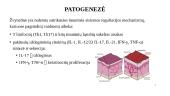 Žvynelinė: etiologija, klinikiniai požymiai, gydymas 3 puslapis