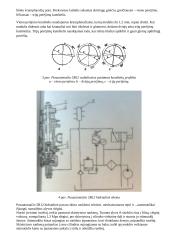 Krumplių drožimo pusautomačio 5B12 derinimas išorinio kabinimo krumpliams drožti 3 puslapis