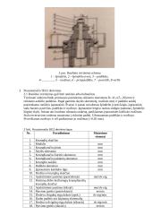Krumplių drožimo pusautomačio 5B12 derinimas išorinio kabinimo krumpliams drožti 5 puslapis