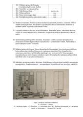 Krumplių drožimo pusautomačio 5B12 derinimas išorinio kabinimo krumpliams drožti 6 puslapis