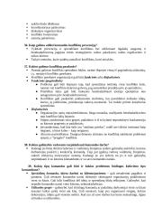 Specialistų komandos darbo egzamino teorija 11 puslapis