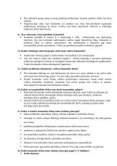 Specialistų komandos darbo egzamino teorija 4 puslapis