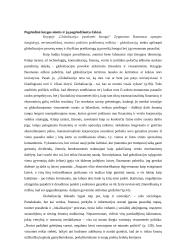 Zygmuntas Baumanas 4 puslapis